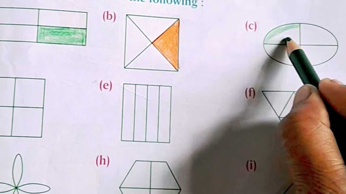 1 2 and 1 4 of shapes worksheet