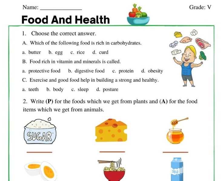 2nd grade health worksheets