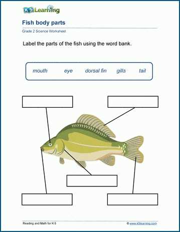2nd grade science worksheets