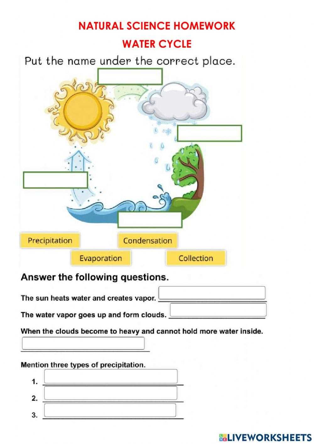 4th grade water cycle worksheet