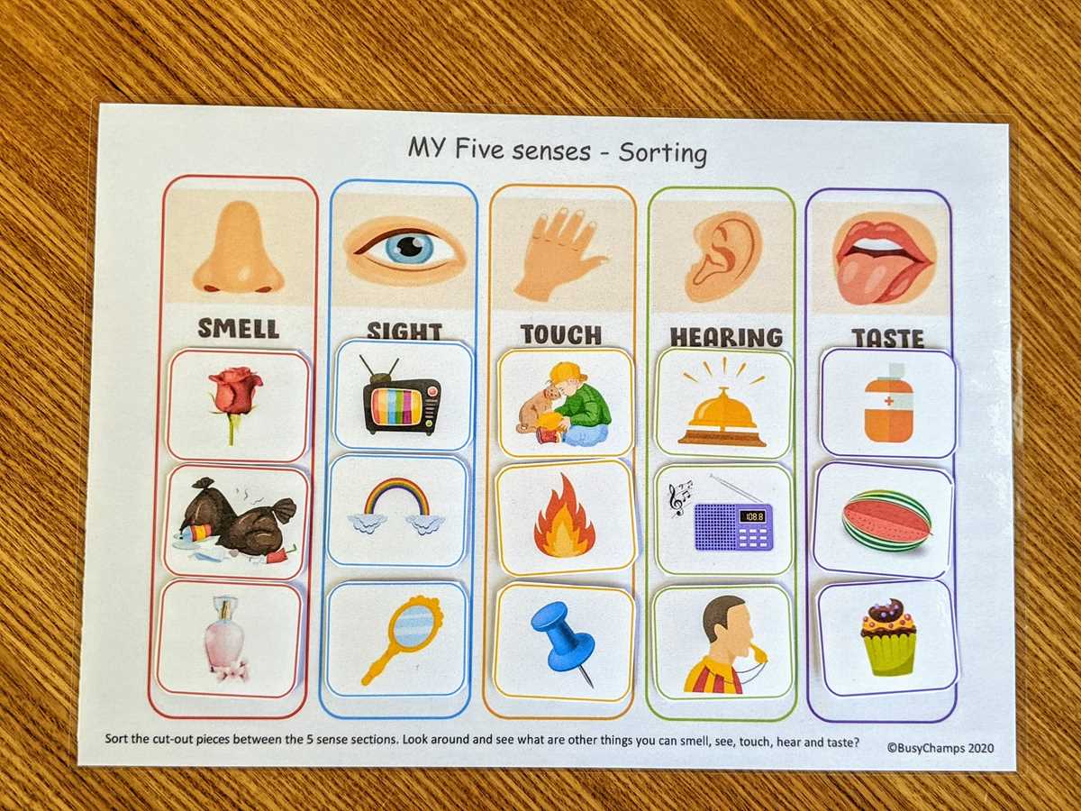 5 senses sort worksheet