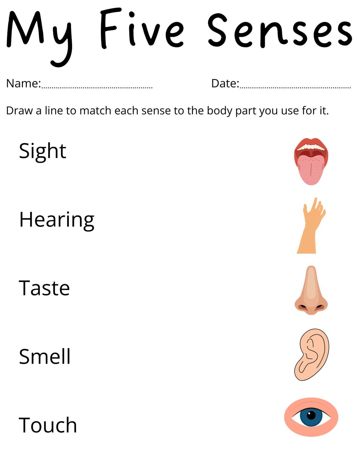 5 senses worksheet free printable
