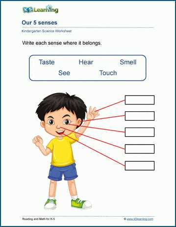 5 senses live worksheet