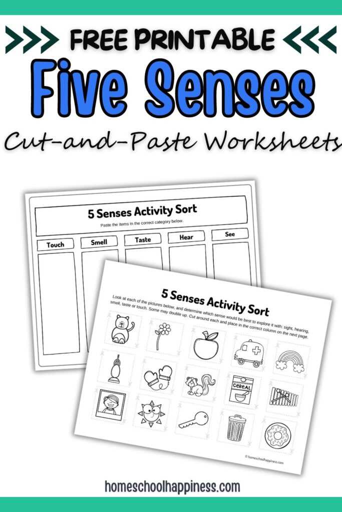 5 senses sort worksheet