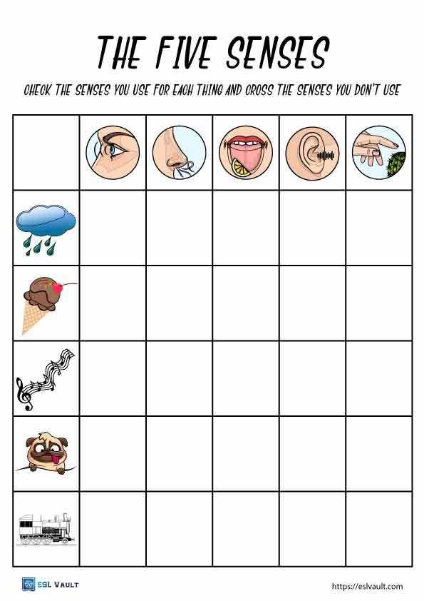 5 senses worksheet free printable