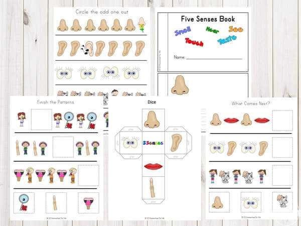5 senses worksheet free printable
