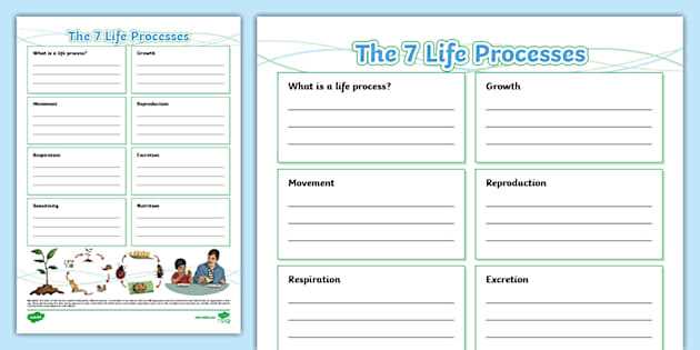 7 life processes mrs gren worksheet 7 life processes mrs gren worksheet