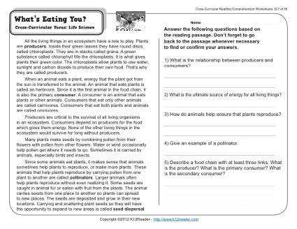 7th grade reading comprehension worksheet