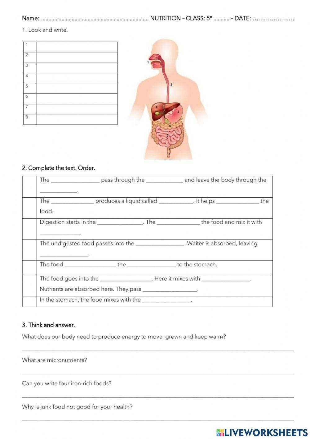 a scientific look at nutrition worksheet