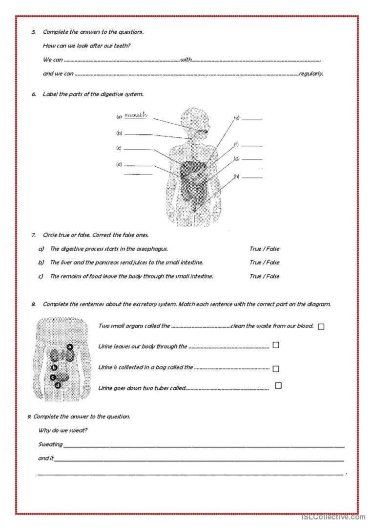 a scientific look at nutrition worksheet