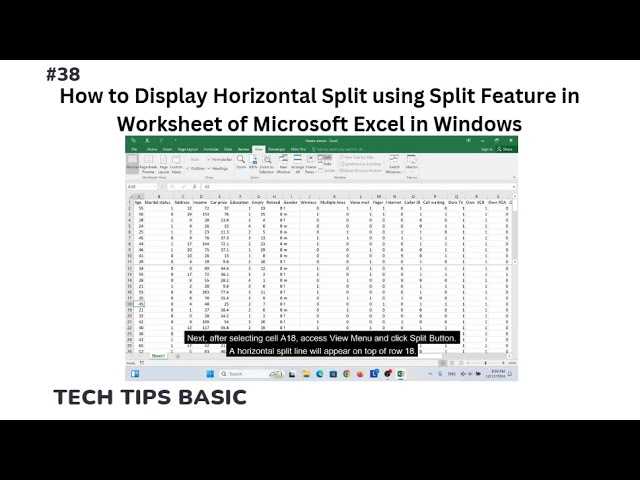 a separate worksheet used to display an entire chart
