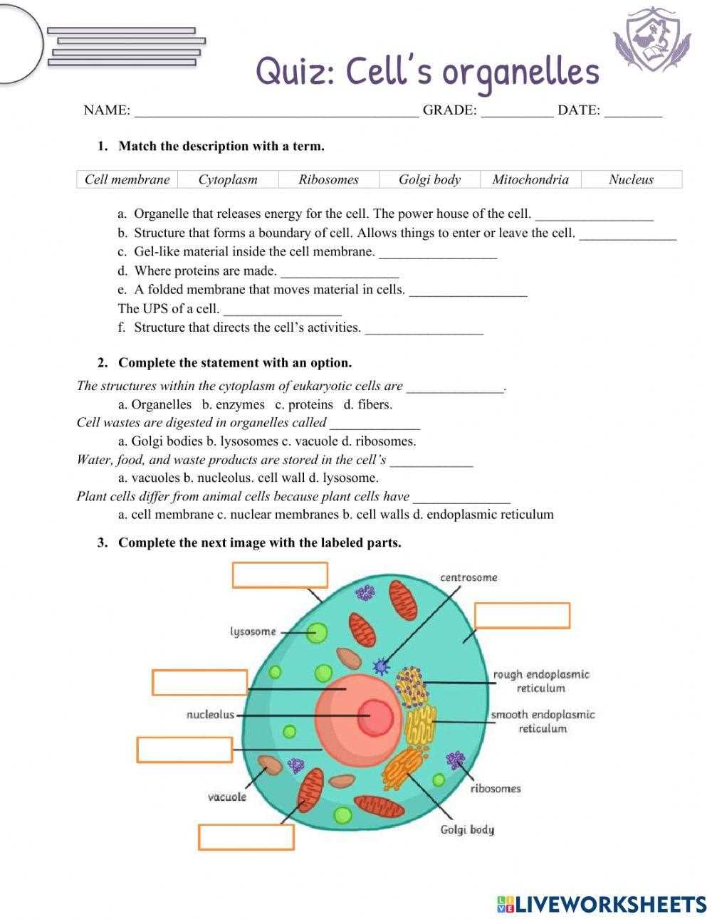 a tour of the cell worksheet