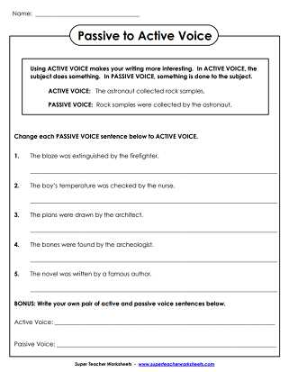active or passive worksheet