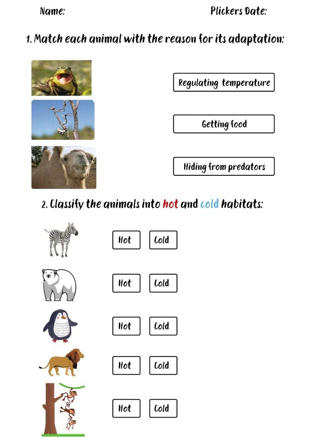 adaptation and survival worksheets adaptation and survival worksheets