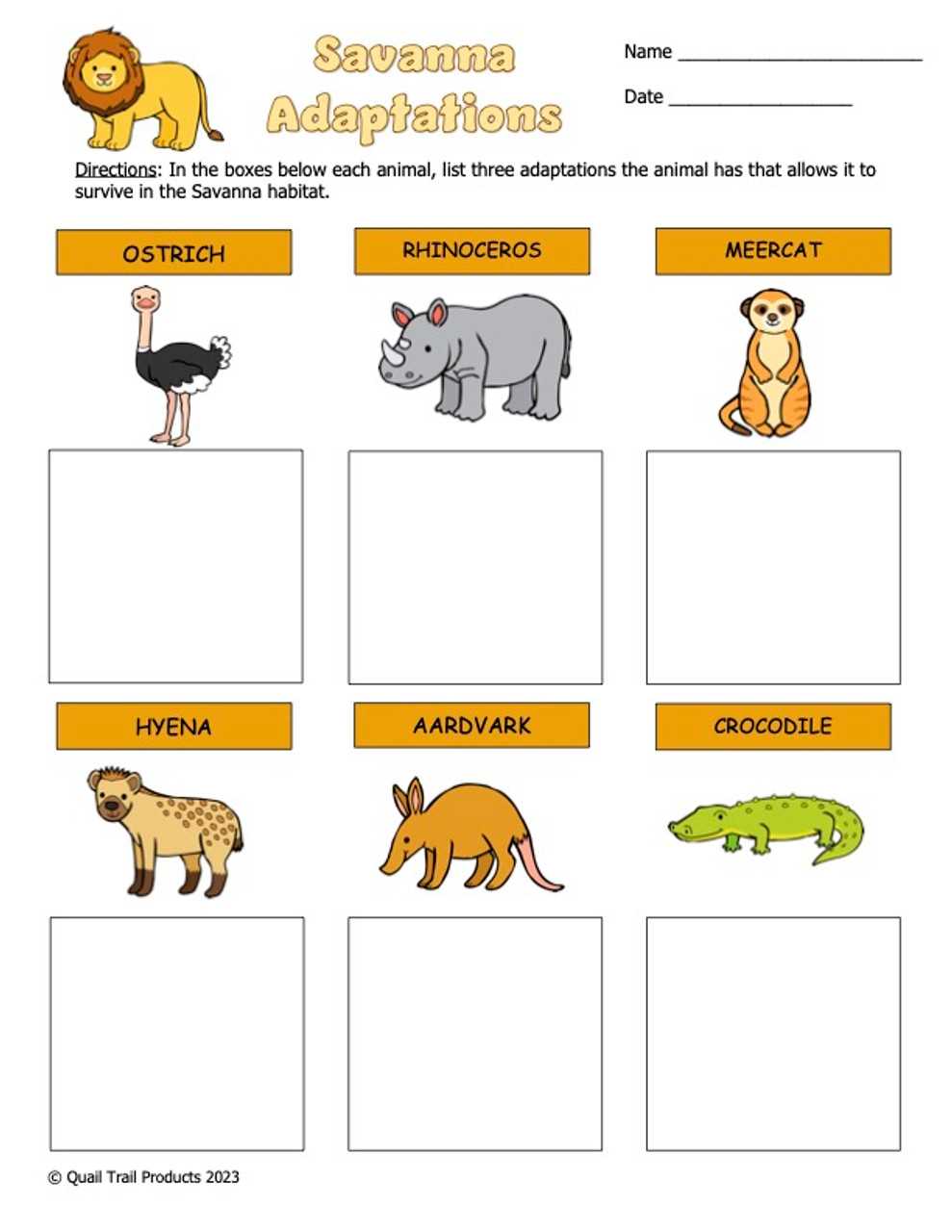 adaptations worksheet