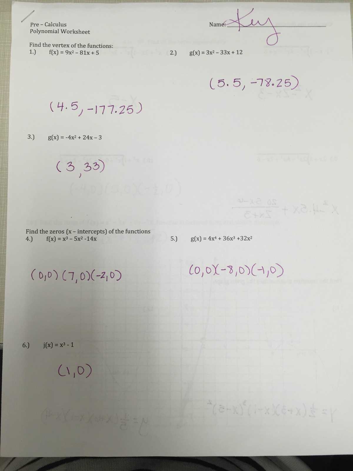 algebra 1 chapter 2 review worksheet