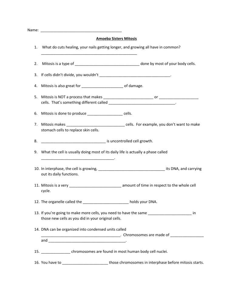 amoeba sisters video recap of meiosis the great divide worksheet