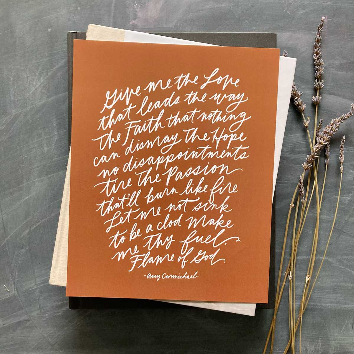 amy carmichael worksheets