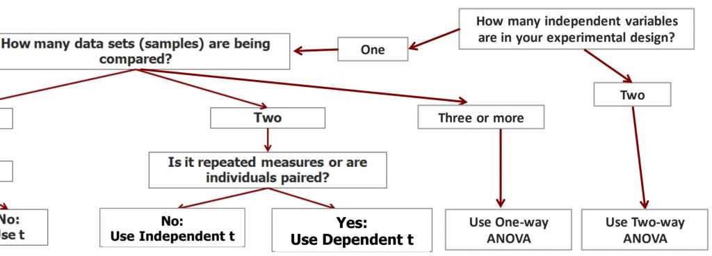 analyzing experimental design worksheet