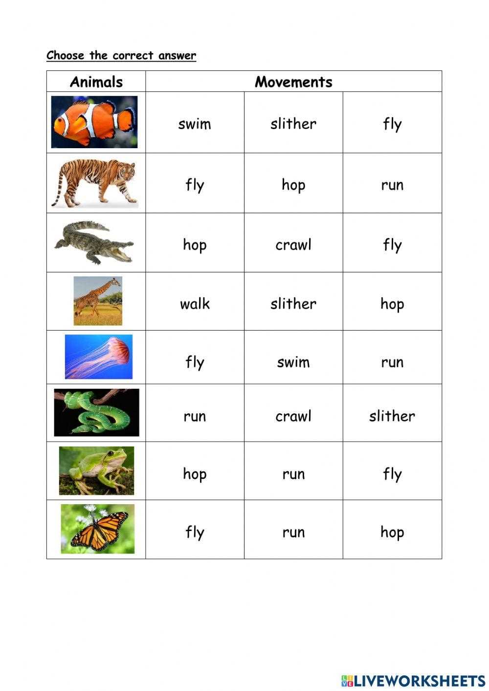 animal movements worksheets for kindergarten