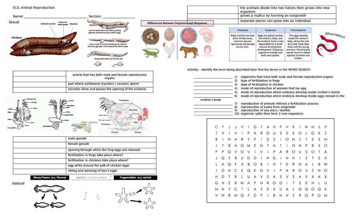 animal science reproduction worksheets
