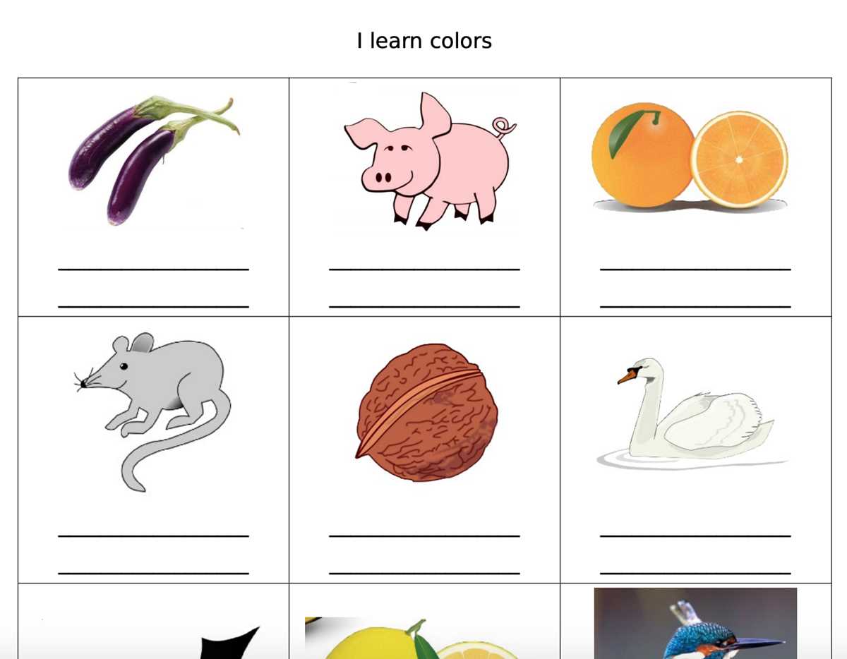 animals and colours worksheet