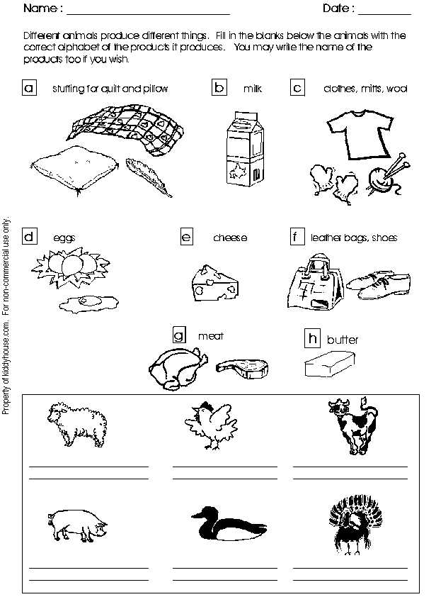 animals and their needs worksheet