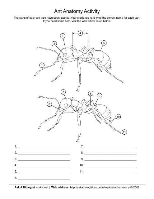 ant therapy worksheets