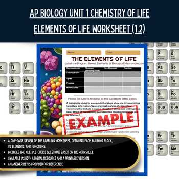 ap biology chemistry review worksheet