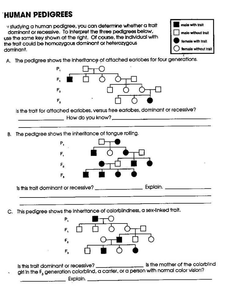 ap biology pedigree analysis worksheet
