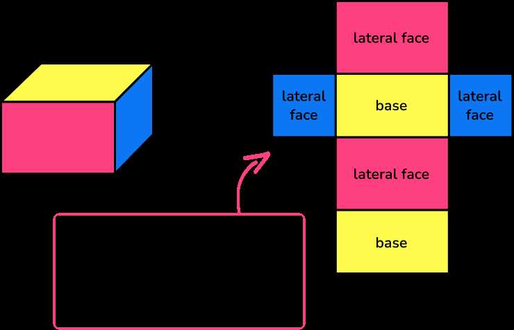 area and surface area worksheets grade 6