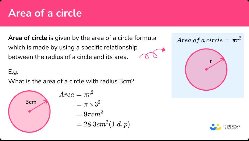 area circle worksheet