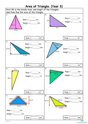 area of the triangle worksheet