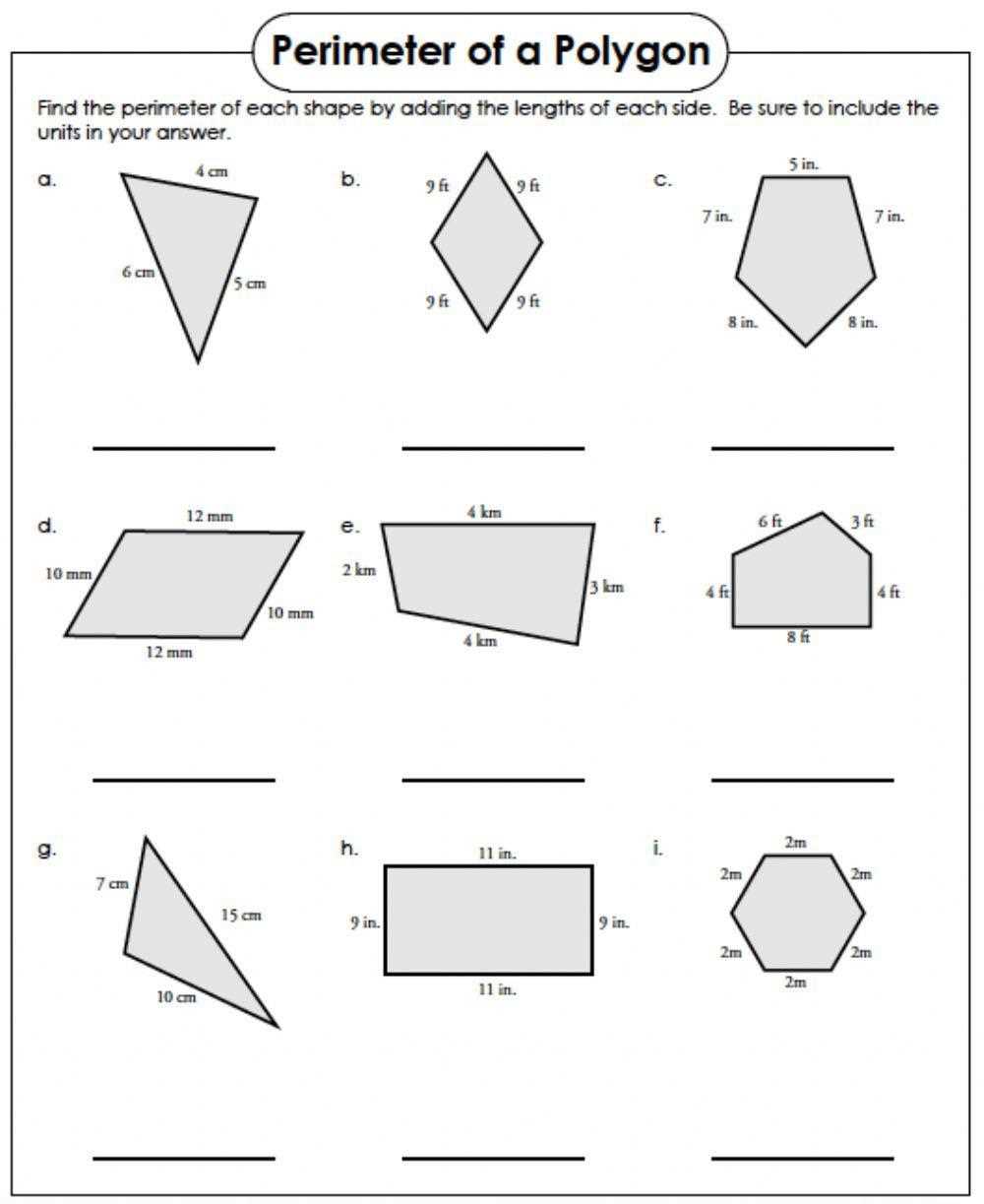 area polygon worksheet