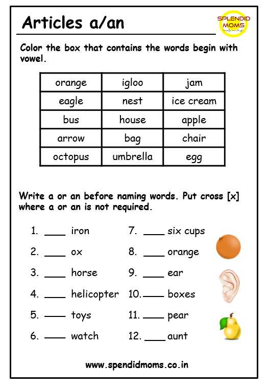 article the worksheet