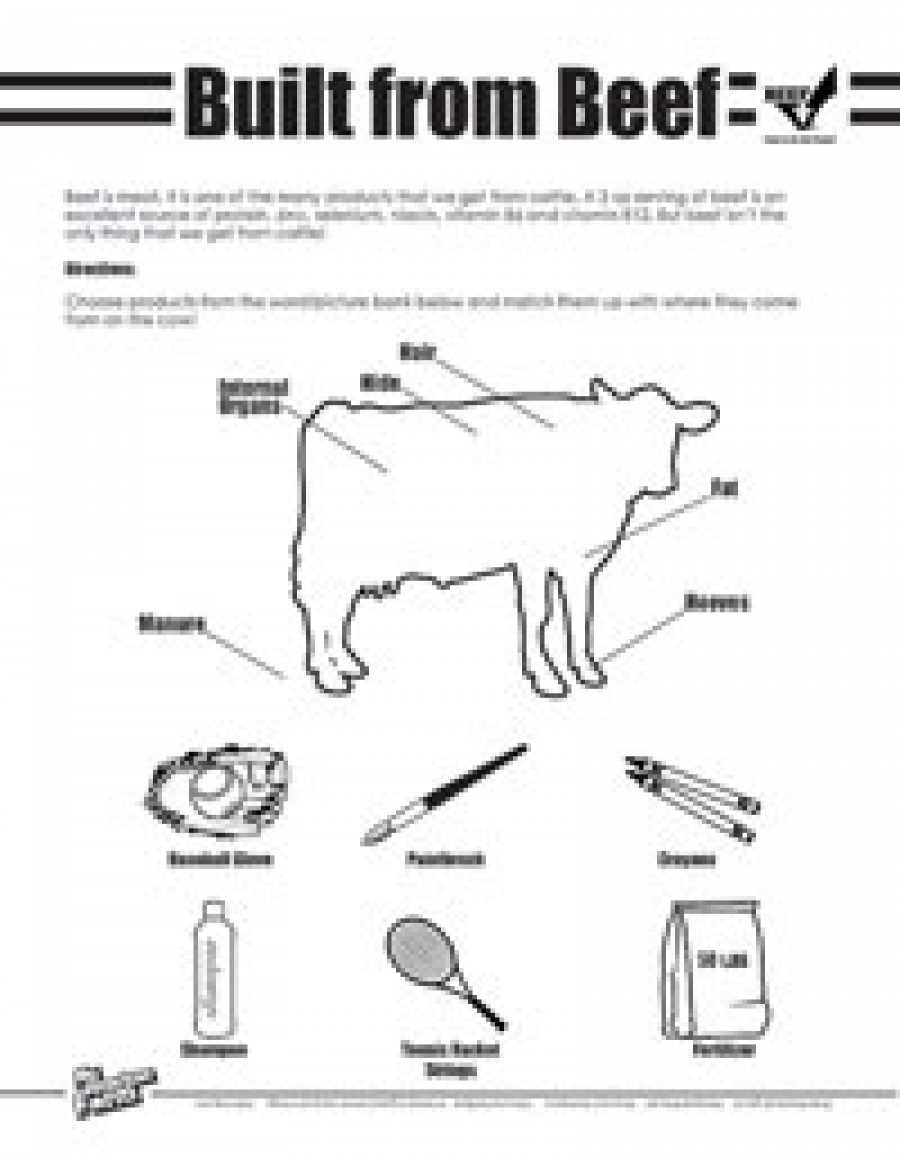 basic livestock nutrition student worksheet
