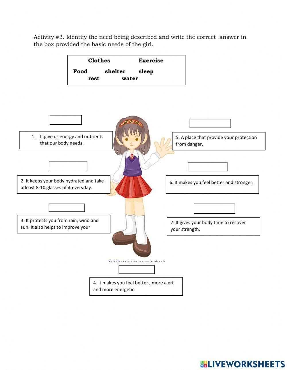 basic needs of human worksheet for kindergarten basic needs of human worksheet for kindergarten