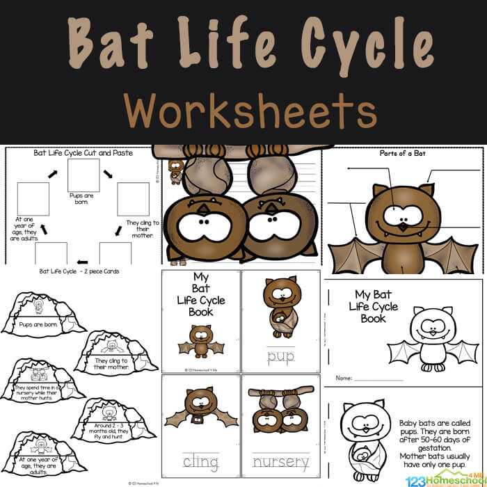 bat worksheets pre k