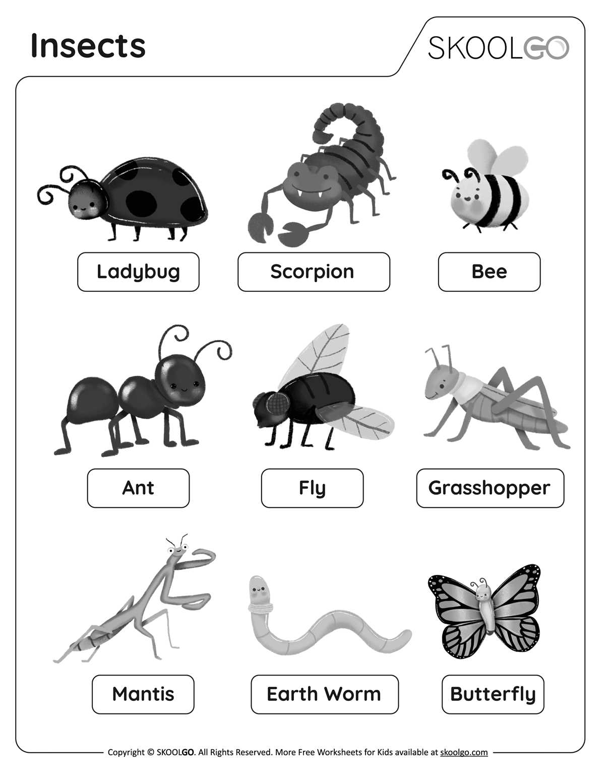 bee worksheet for kindergarten