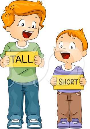 big small tall short fat thin worksheet big small tall short fat thin worksheet