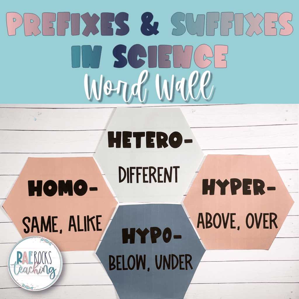 biological prefixes and suffixes worksheet