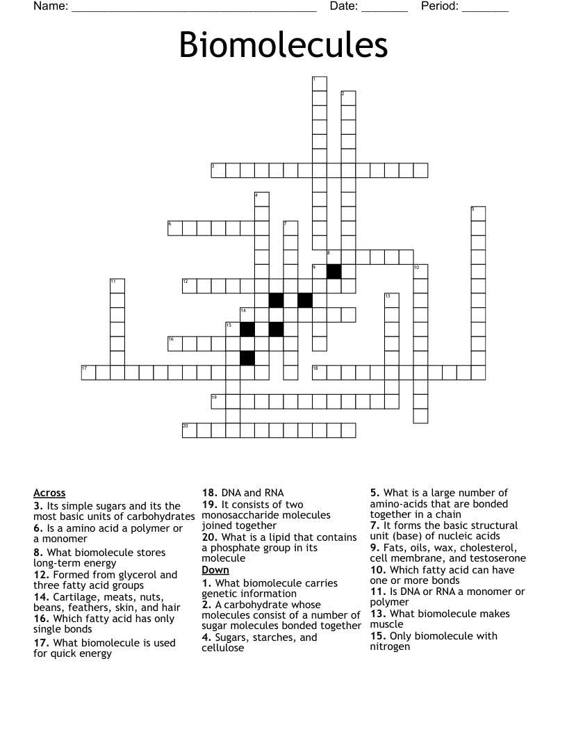 biology biomolecules worksheet biology biomolecules worksheet