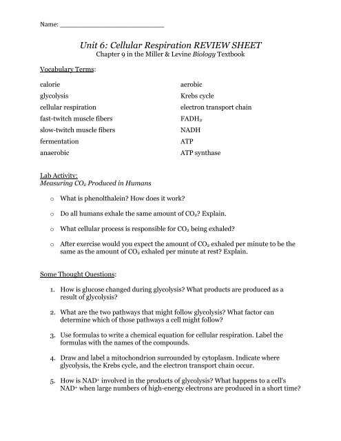 biology chapter 9 glycolysis worksheet