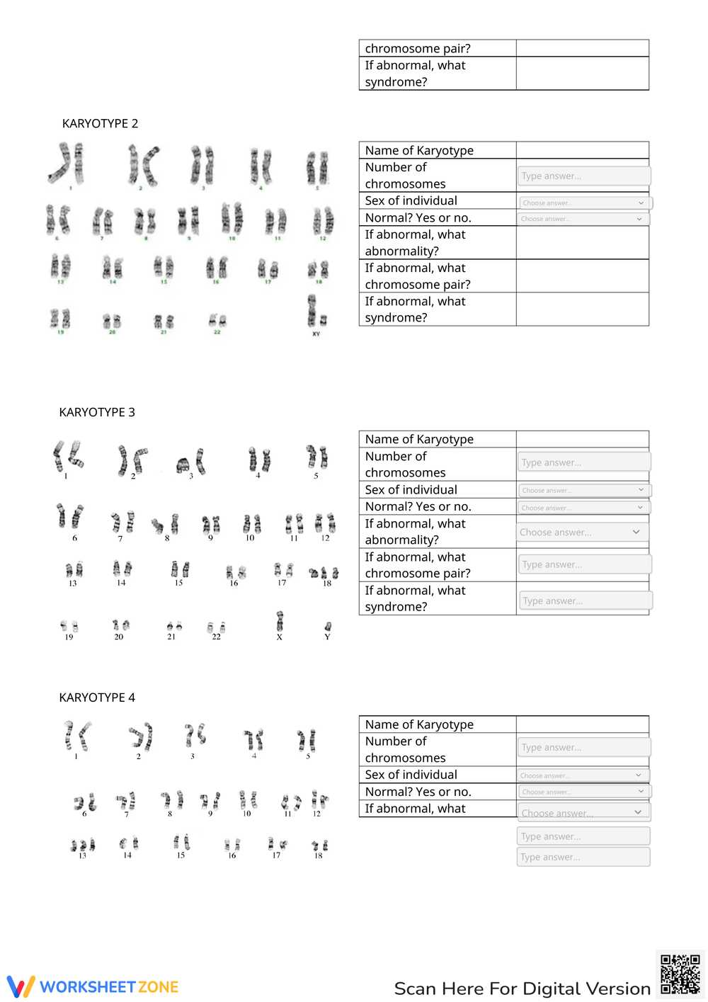 biology karyotype worksheet key