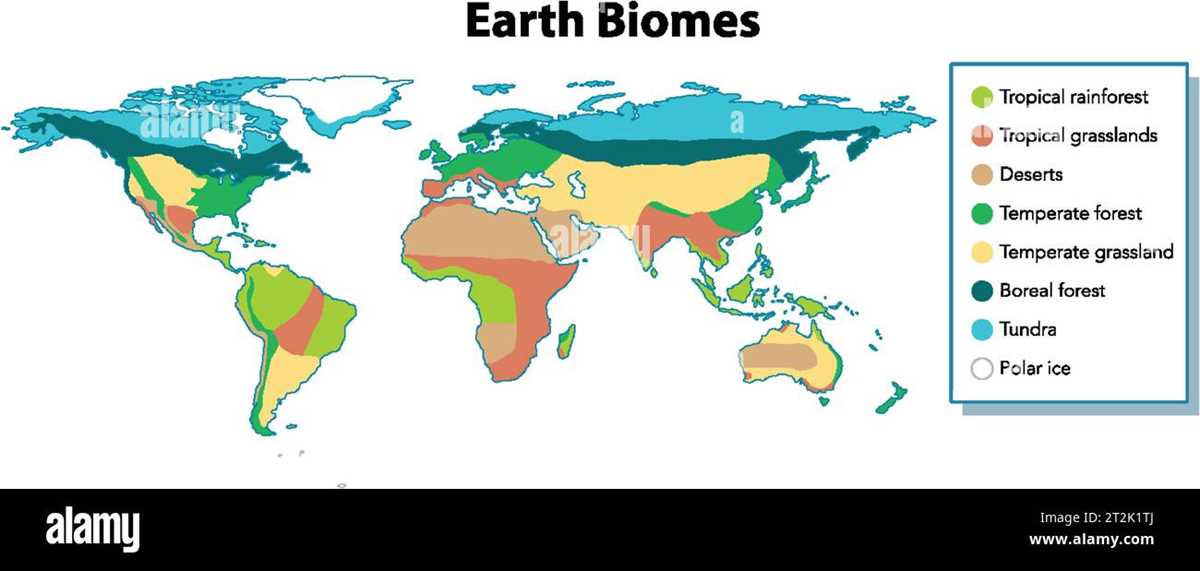 biomes map coloring worksheet