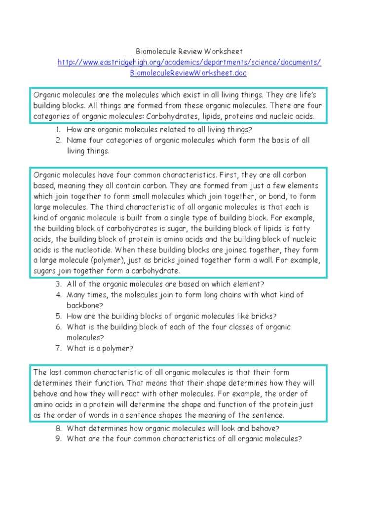 biomolecule review worksheet