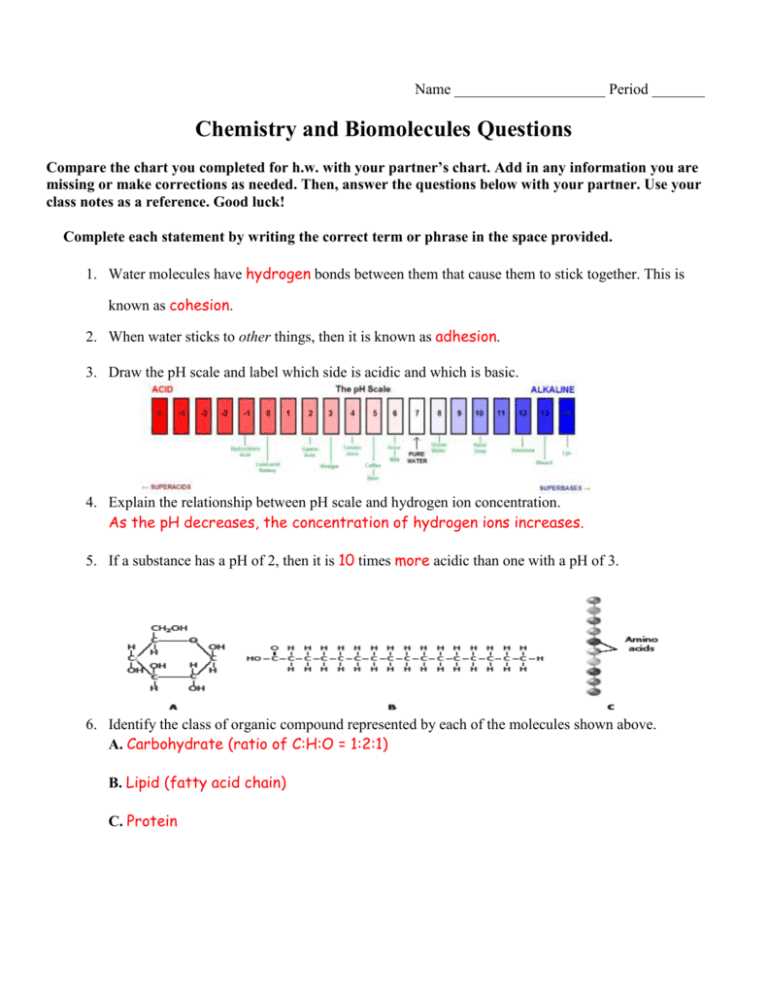 biomolecule review worksheet