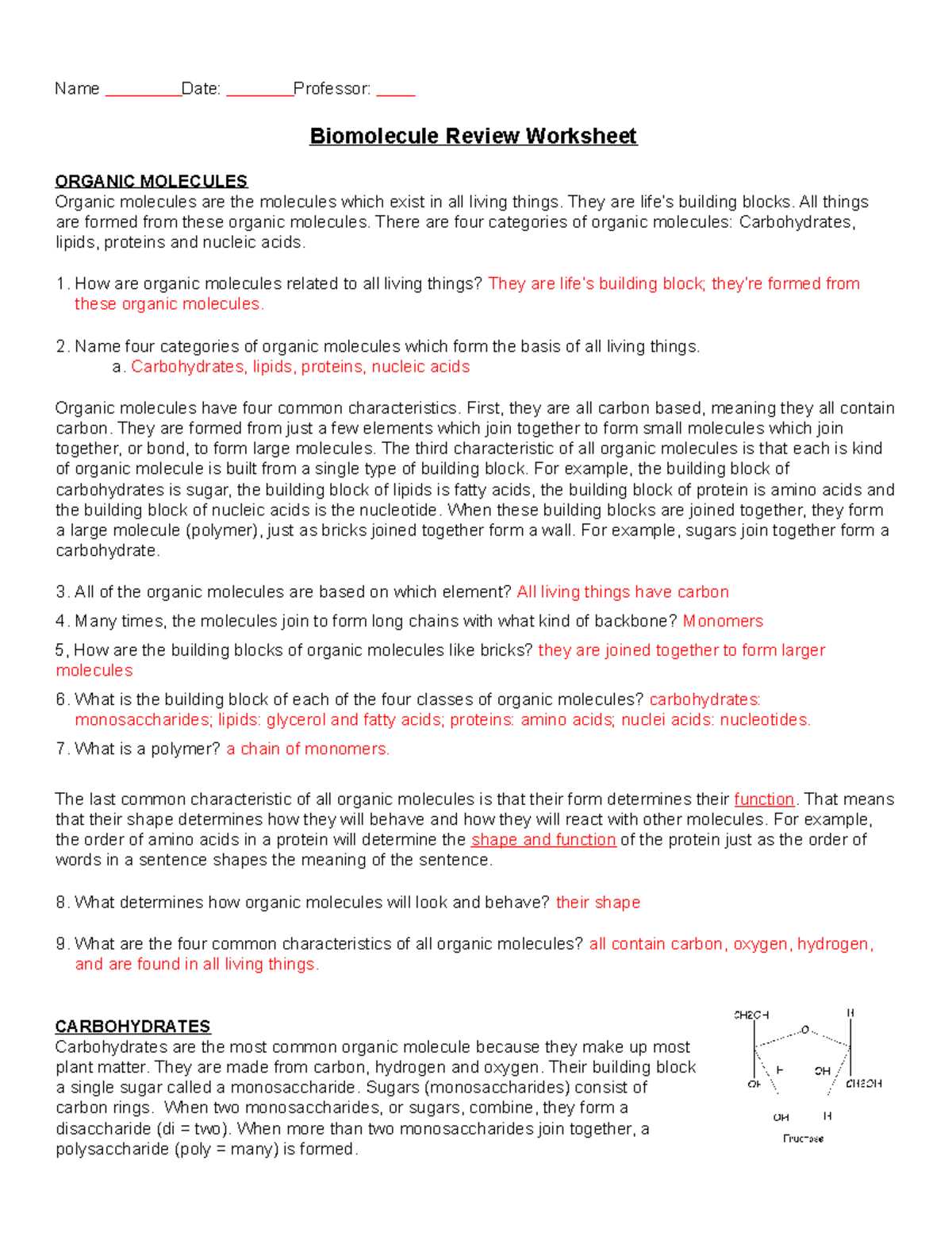 biomolecule review worksheet
