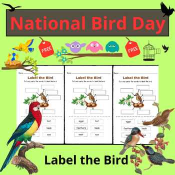 birds honor worksheet