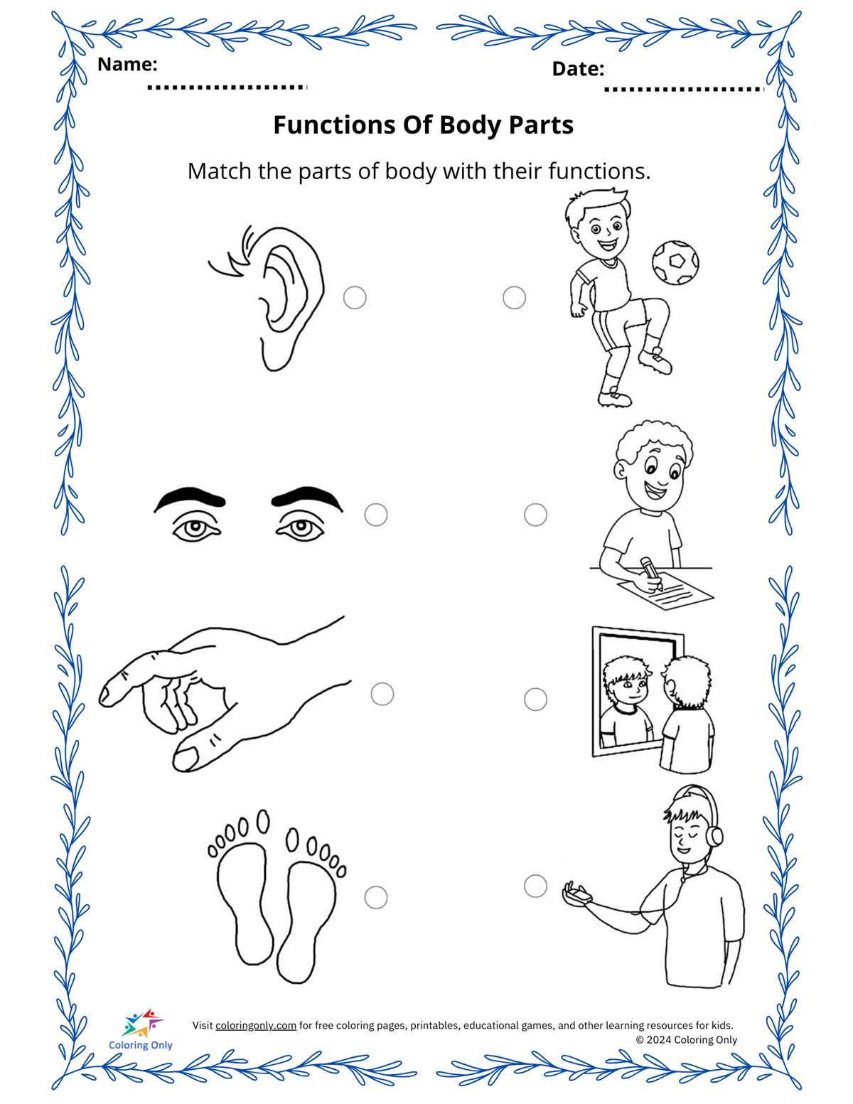 body parts and function worksheet